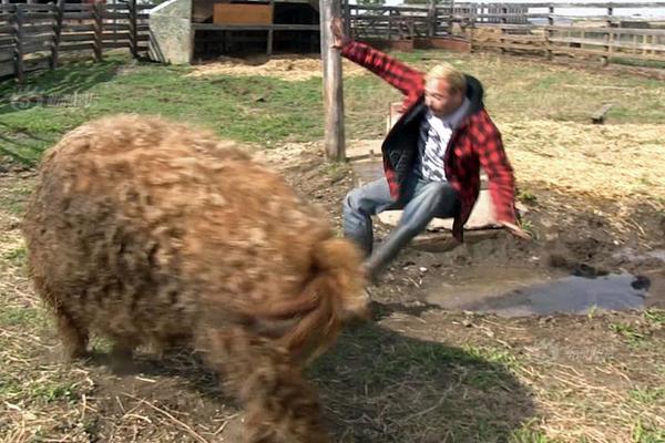 A new movie received positive reviews from critics and is expected to attract large audiences