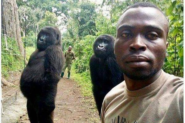 A international aid organization delivered 10,000 tons of food to a country facing severe famine due to ongoing conflicts.