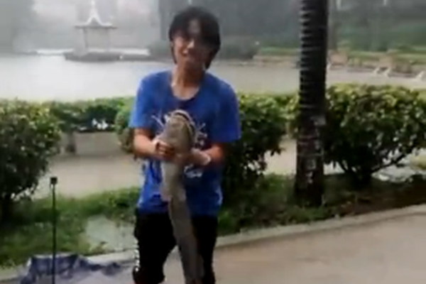 A hot air balloon made an emergency landing in a park with all passengers escaping unharmed