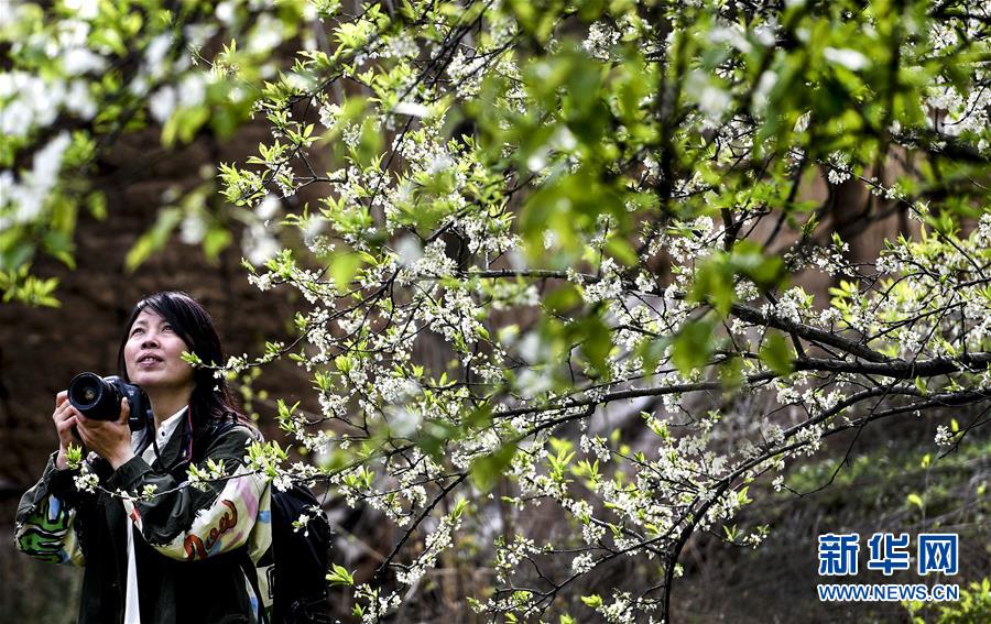 Researchers found that taking short walks every hour can reduce back pain in office workers