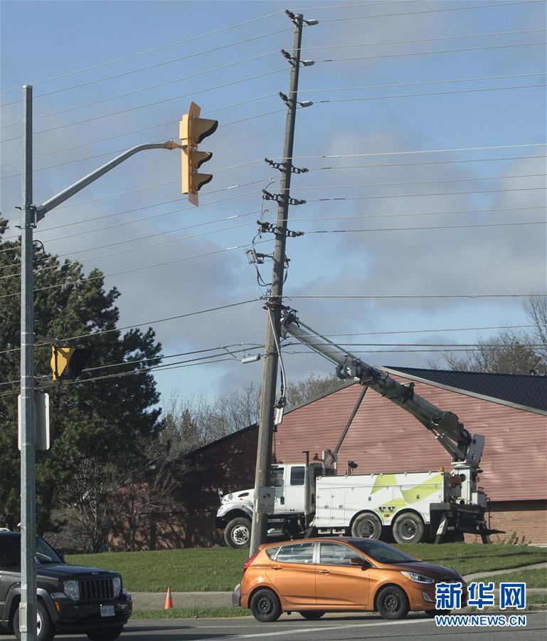 Book club discusses award winning novel about environmental issues