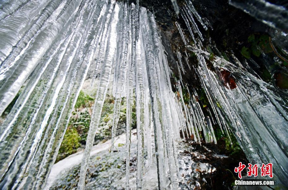 A charity collected donations of toys for children in hospitals