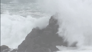 A school started a robotics team that qualified for a national competition in its first year