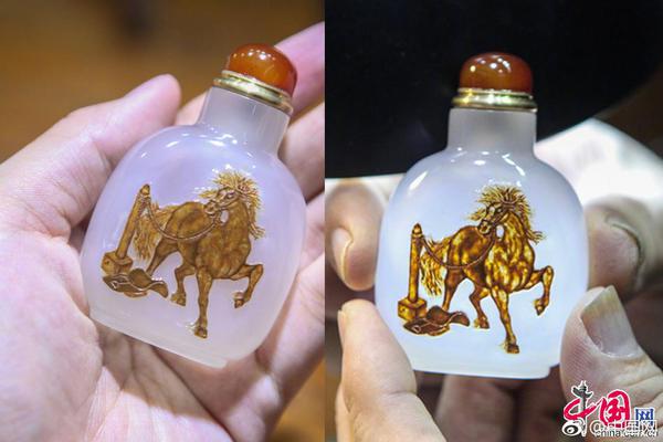 A software company introduced a new project management tool that integrates with popular productivity apps