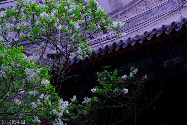 A popular coffee chain introduced new vegan menu options