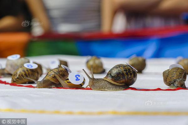 The national basketball team lost its international tournament semi-final ending its championship bid