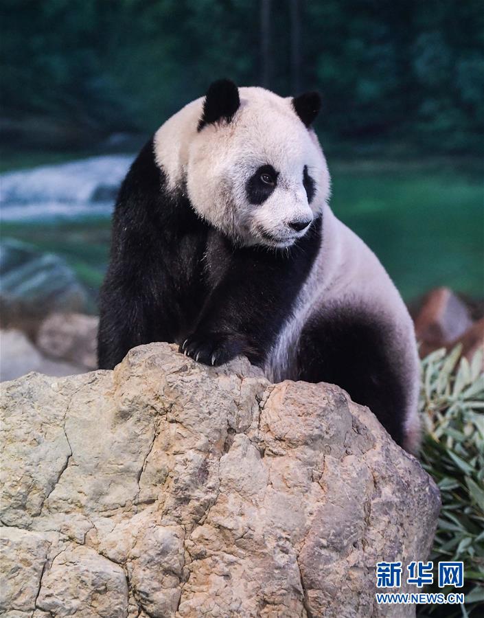 A farm began selling