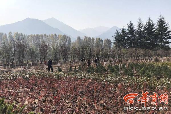 The city council voted to ban smoking in all public parks and recreational areas