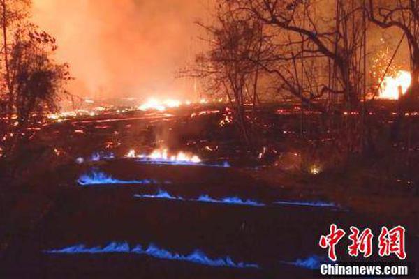 A major fashion show was held in the city showcasing the latest designs from top designers around the world