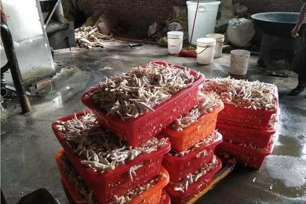 A renowned author released a new novel that explores the impact of climate change on coastal communities