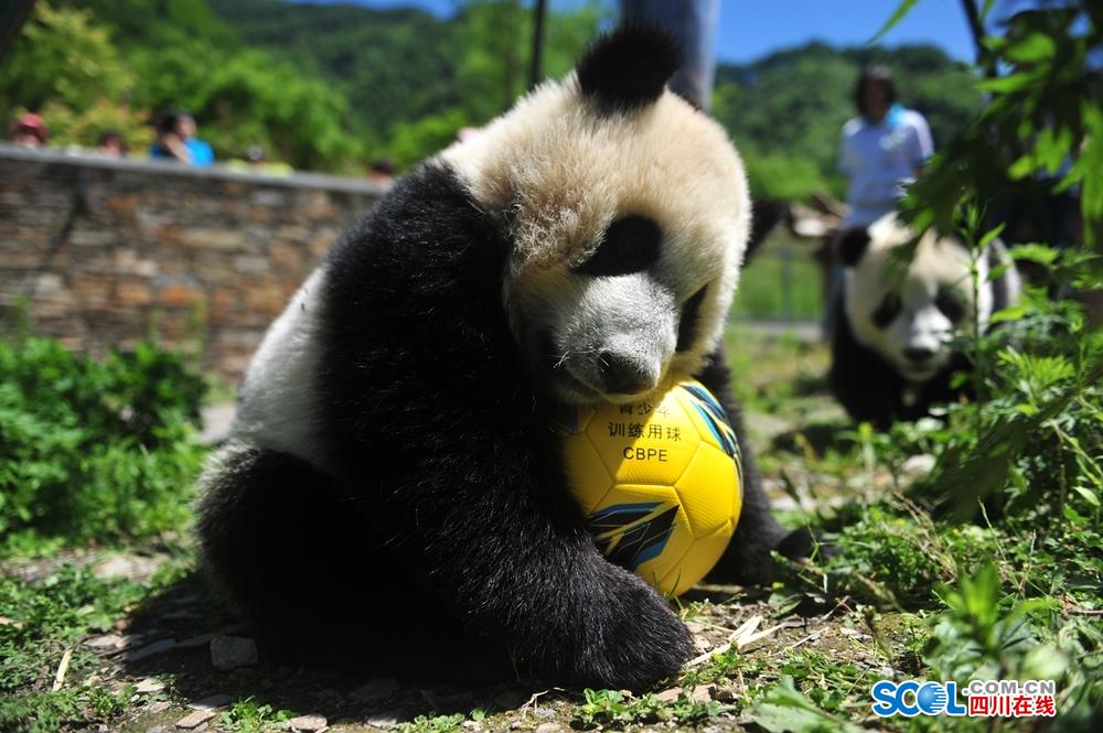 A government agency launched a water conservation campaign, encouraging residents to reduce usage