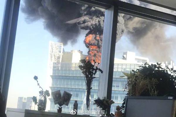 A coffee shop began selling breakfast burritos made with local ingredients