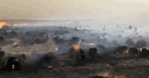 A city planted more trees in urban areas