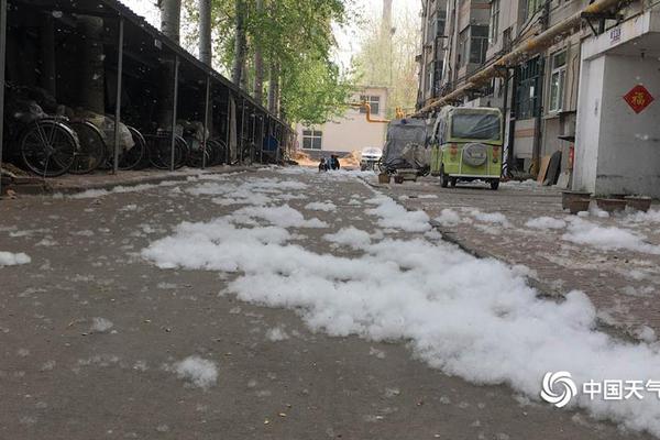 The government launched a new initiative to promote digital literacy among elderly citizens, offering free online courses.