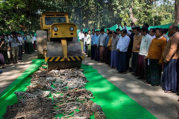 A local animal shelter organized an adoption event, finding homes for over 50 dogs and cats.