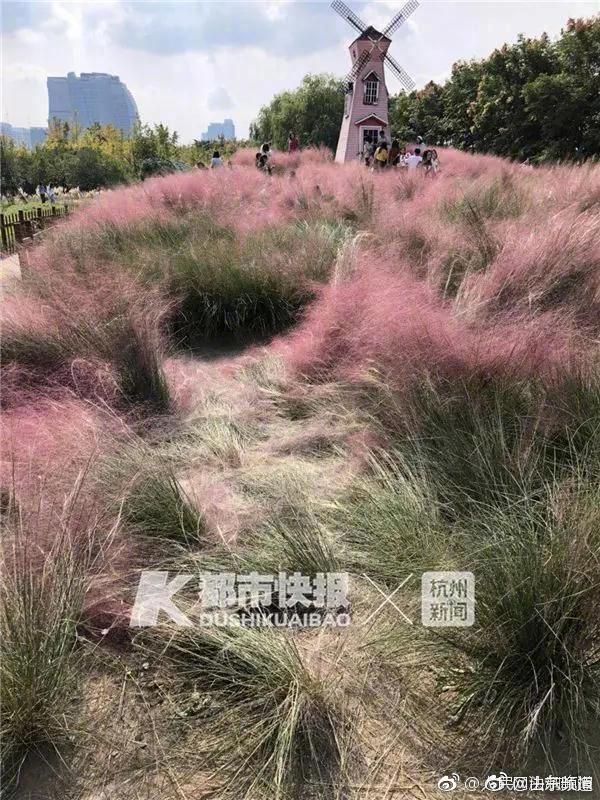 A new survey found 60% of employees prefer hybrid work combining remote and in-office days