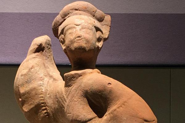 Marine biologists found that coral reefs are recovering faster than expected in protected areas