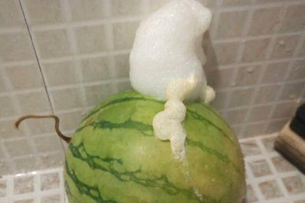 A music festival announced it will use 100 percent renewable energy for next year’s event