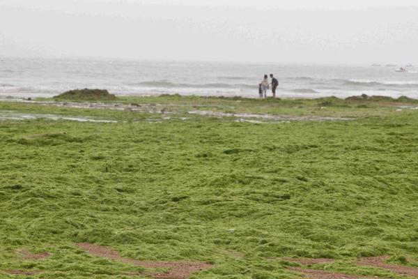 Motorcycle club organizes charity ride to raise money for pediatric cancer research