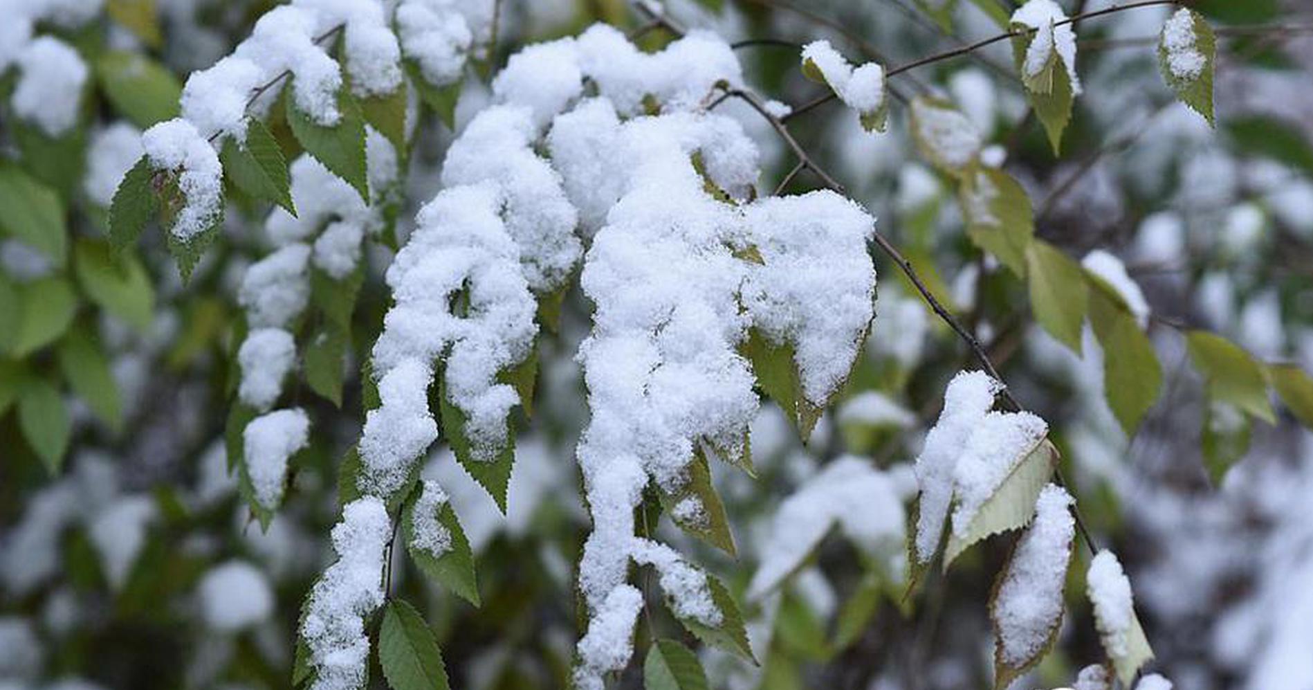 Juice bar uses locally grown fruits and vegetables for all menu items