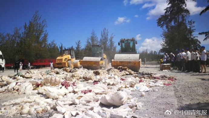 A famous author won a national literary award for their latest novel about the Civil Rights Movement