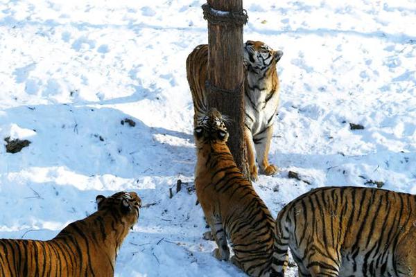 A museum hosted a lecture by a renowned historian