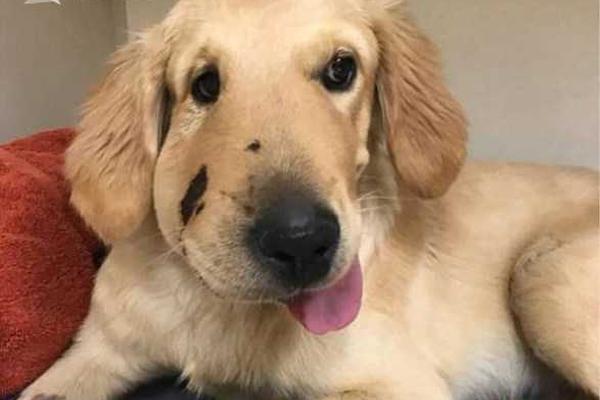 The national weather service issued an extreme heat advisory for the southern states this week