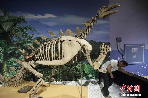 A national forest service announced it will hire 50 additional rangers to patrol remote areas