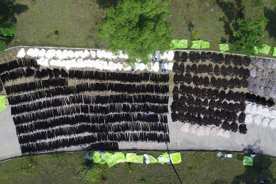 Researchers discovered a new species of deep-sea fish during an expedition in the Pacific Ocean