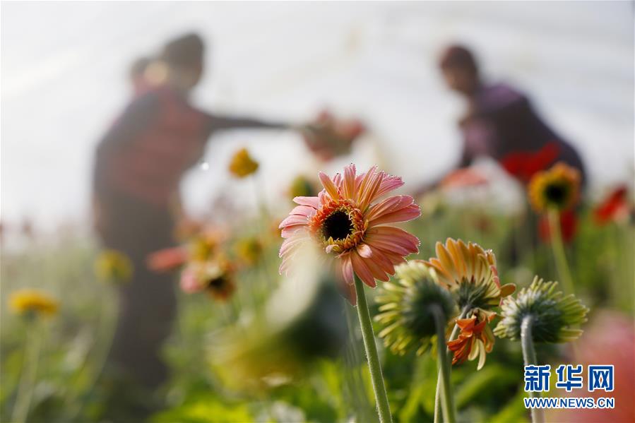 A new study showed that exercise can improve self-esteem and confidence in teenagers