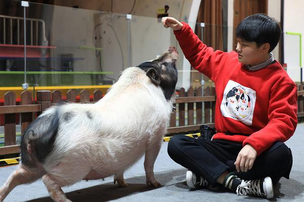 A gym offered free trial memberships to encourage people to start exercising