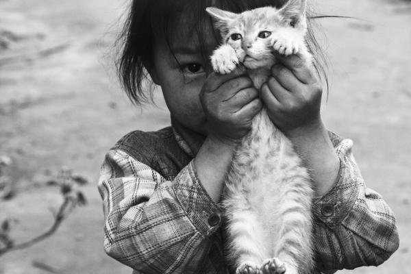 A major airline announced it would be increasing flight frequencies to popular tourist destinations during the summer season.