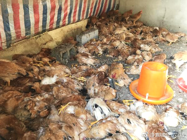 Weather forecasters warned of possible flooding in coastal towns due to high tides