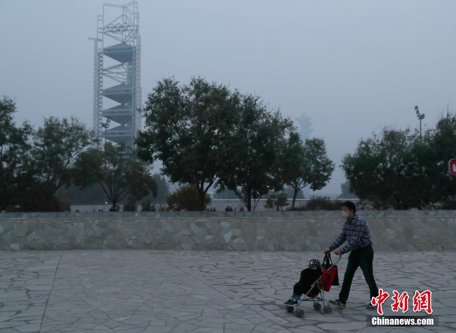 A new study showed that air pollution affects cognitive function in the elderly