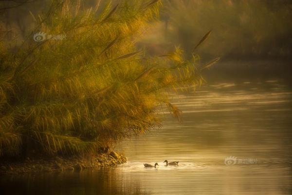 A study found that remote work has reduced commuting time by an average of 90 minutes daily