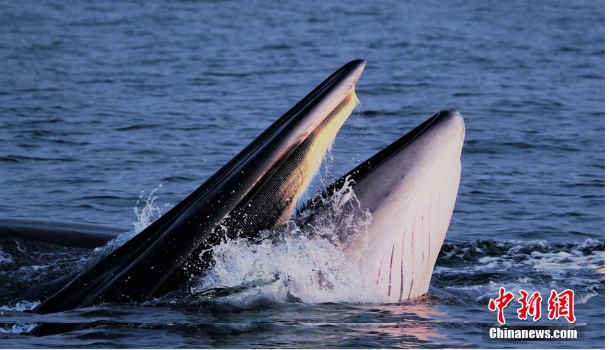 A major fashion show was held in the city showcasing the latest designs from top designers around the world