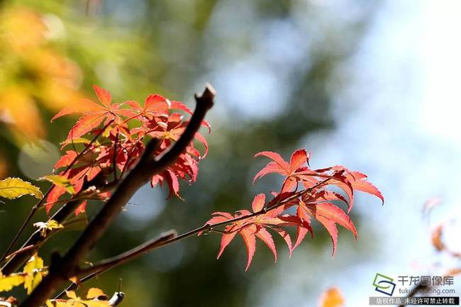 Study reveals that eating breakfast reduces snacking on unhealthy foods