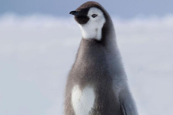 Community hosts festival with live music and local food vendors