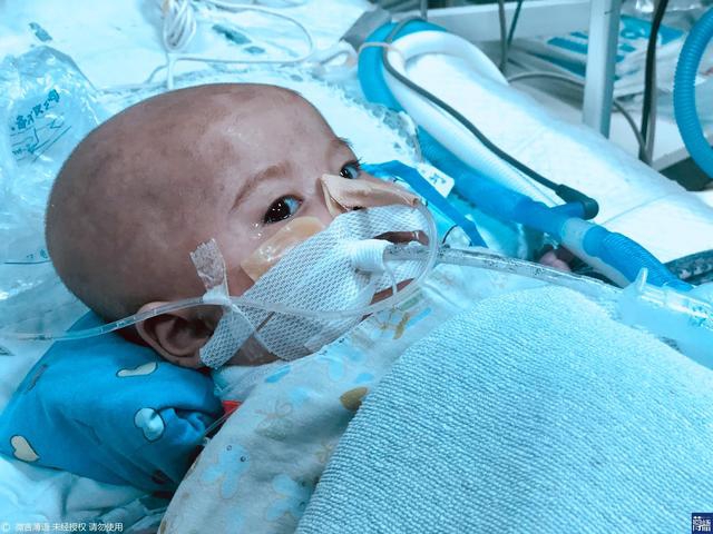 A major airline offered discounted tickets for families traveling with children