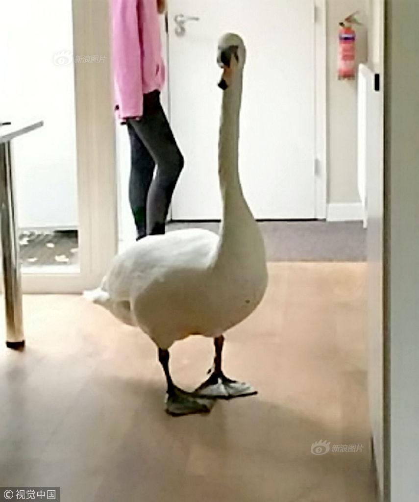 A thunderstorm caused power outages for 35000 residents in the central region