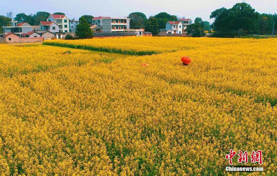 Travel magazine lists top eco-friendly travel destinations