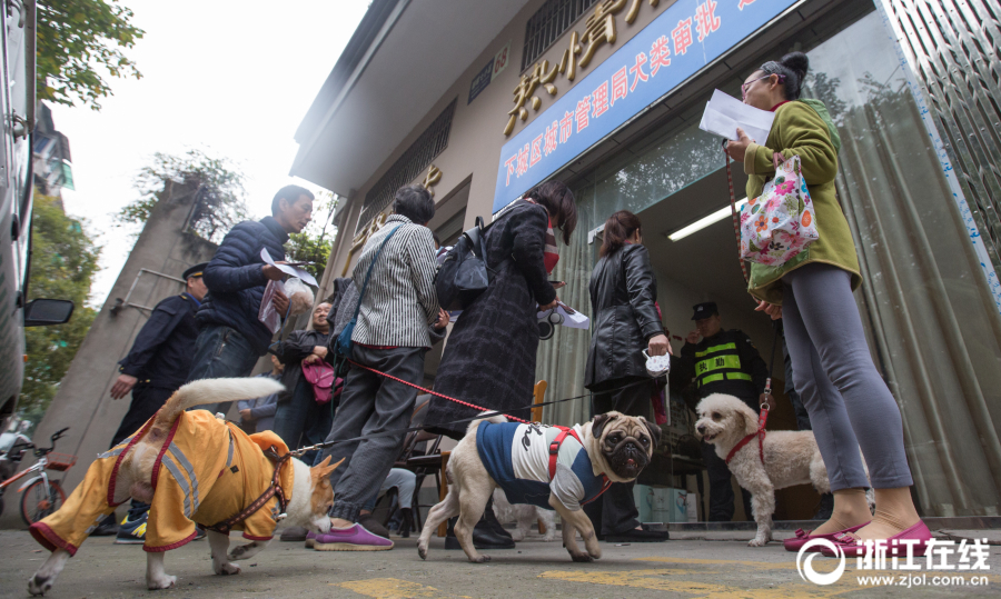 A government program helped homeowners install solar panels on their roofs