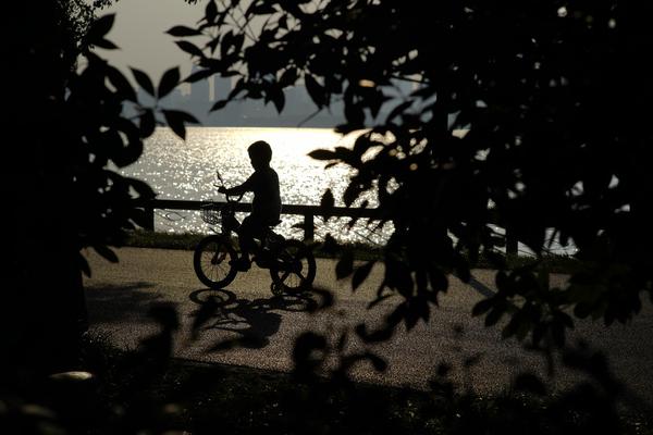 A pet rescue organization held a 