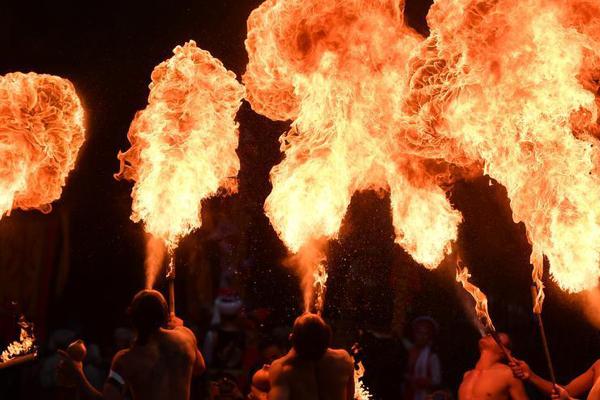 A pet rescue organization held a 