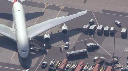 A major airline planned to add more flights to tourist destinations