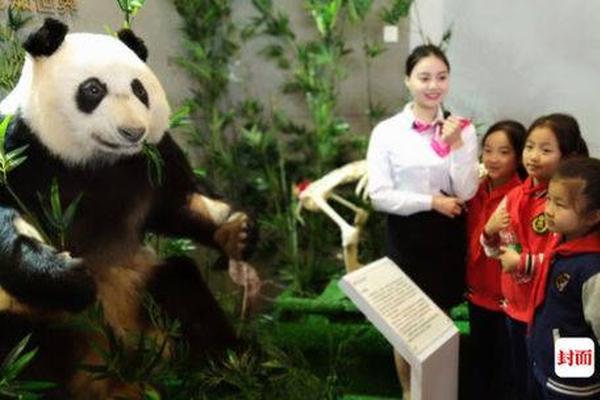 The government offered grants to small businesses that develop eco-friendly products