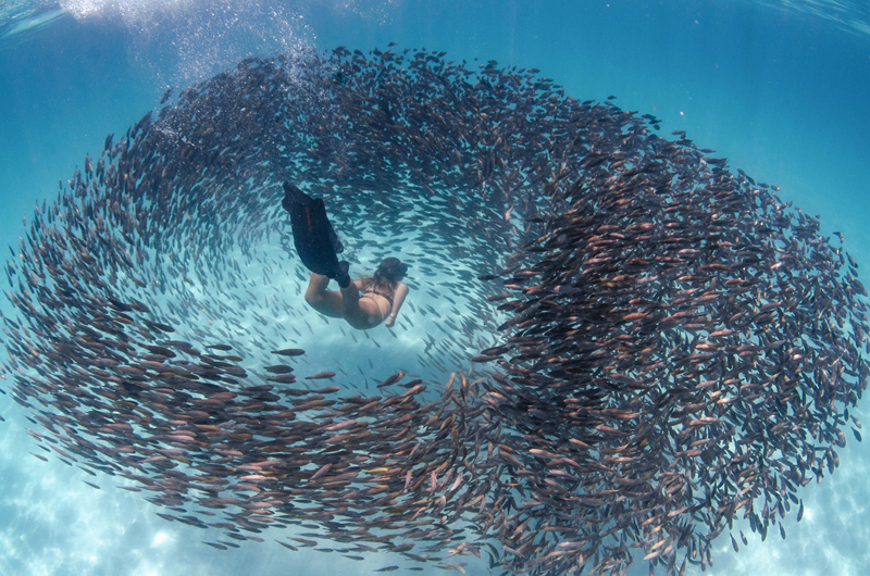 Researchers found that listening to classical music improves focus in college students