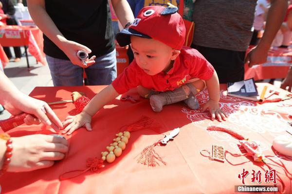 The government announced tax breaks for families who adopt rescue animals