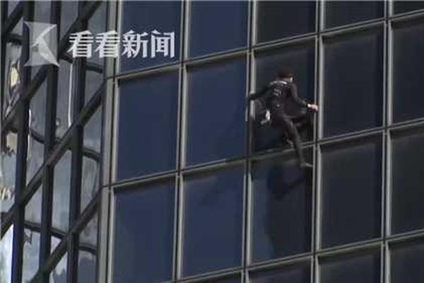 A zoo opened a new exhibit featuring pandas from China