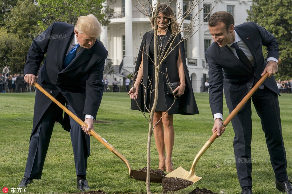 Scientists successfully cloned a rare animal to help preserve the species